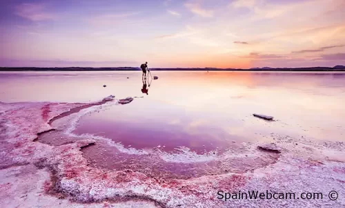 Salinas De Torrevieja