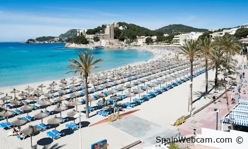 Playa Palmira Beach in Mallorca