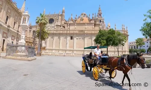 Seville